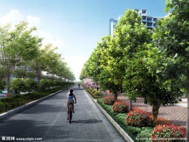 馨云路标准段透视