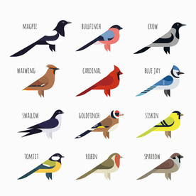 小鸟矢量设计素材