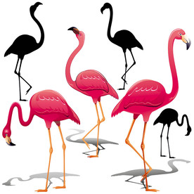 火烈鸟卡通设计素材