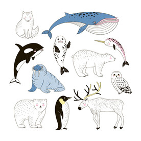 手绘南极动物矢量设计素材