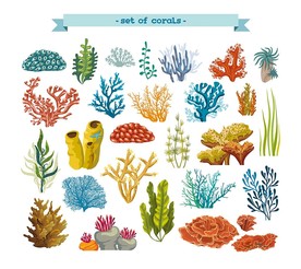 手绘海洋海草矢量素材