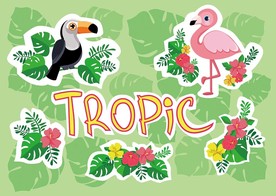 夏季植物花鸟矢量背景墙