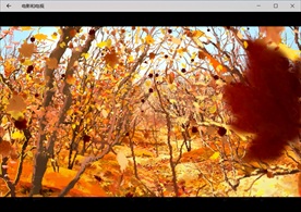 唯美秋叶飘落镜头推进