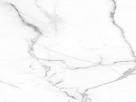 高档新豪华鱼肚白 tif合层