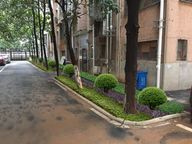 绿化改造景观设计效果图