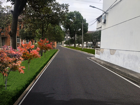 道路改造绿化景观