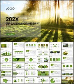 保護(hù)濕地原始森林生態(tài)氧吧PPT