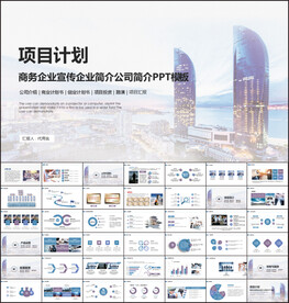 商業(yè)項目計劃書PPT