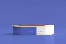 多视角铝制鱼罐头盒模型