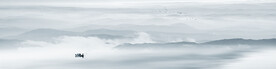 山水