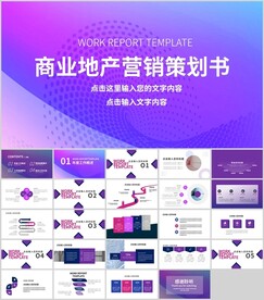 高端商業地產營銷計劃書PPT