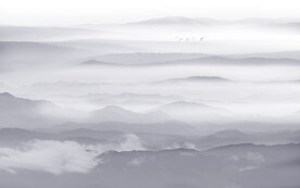 新中式水墨畫(huà)