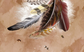 北欧羽毛背景墙