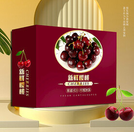 車?yán)遄?年貨包裝