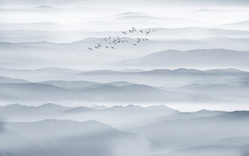 中式禪意水墨山水畫背景墻