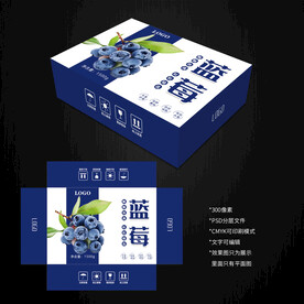 藍莓包裝