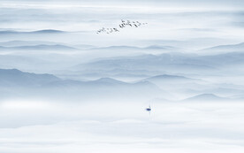 新中式意境水墨畫背景墻