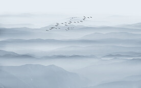 山水图