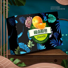 橙子包裝  臍橙禮盒 
