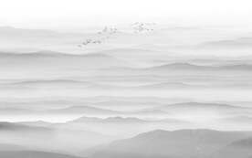 禪意水墨山水圖