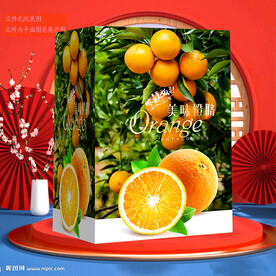 橙子包裝 臍橙禮盒