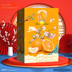 耙耙柑包裝 春見禮盒