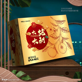 柑橘包裝 