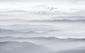 水墨画