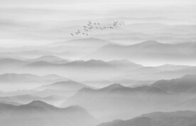 山水水墨画