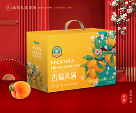 杏包裝 黃杏禮盒