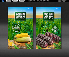  玉米海報(bào)