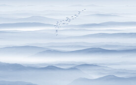 新中式意境山水水墨畫