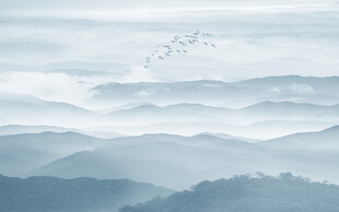 水墨禪意山水畫背景墻