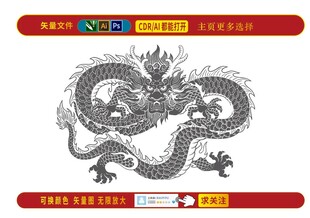 騰龍九州矢量圖案