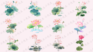 國潮荷花荷葉蓮花蓮葉插畫素材
