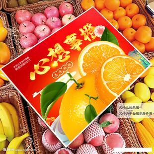 蘆柑包裝 椪柑禮盒 