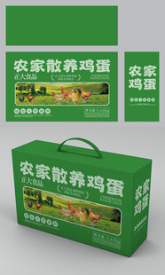 農(nóng)家雞蛋包裝設(shè)計(jì)