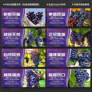 葡萄