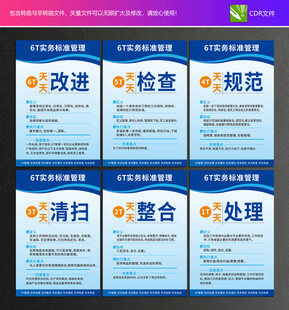 6T實務(wù)標(biāo)準(zhǔn)管理