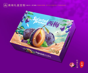 西梅包装 李子礼盒