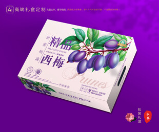 西梅包装 李子礼盒
