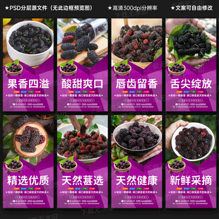 桑葚