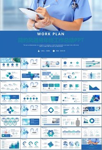 醫(yī)療衛(wèi)生生業(yè)總結(jié)計(jì)劃匯報(bào)PPT