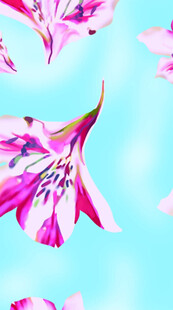 花卉