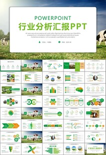 生態(tài)牧場畜牧業(yè)養(yǎng)殖乳業(yè)PPT