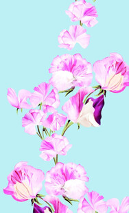 手繪花