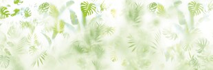 霧氣磨砂膜效果綠植貼圖