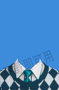 格子领带与衬衫领口特写