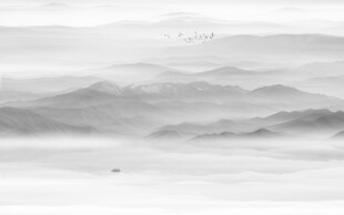 中國風(fēng)水墨山水畫