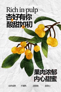 香甜多汁的新鮮杏子海報(bào)
